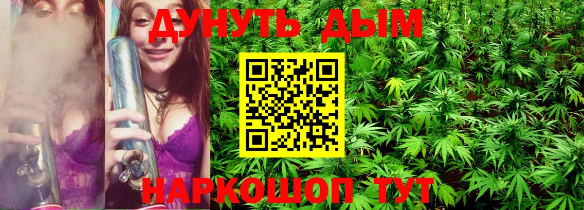 Шишки марихуана планчик  Вход с VPN  Бошки марихуана гибрид  Дальнегорск 